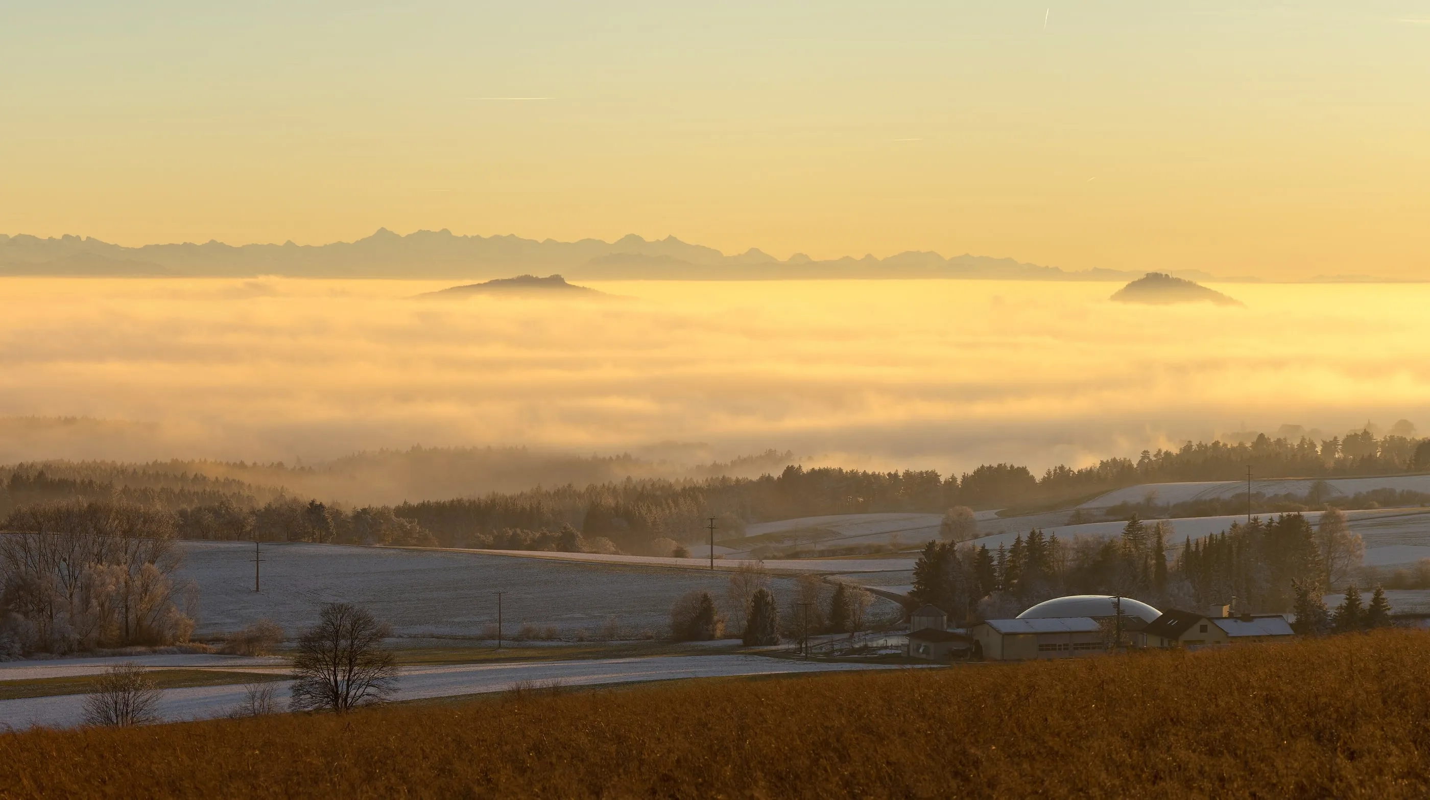 Nebelmeer im goldenen Morgenlicht, am Horizont die Silhouette der Alpen.